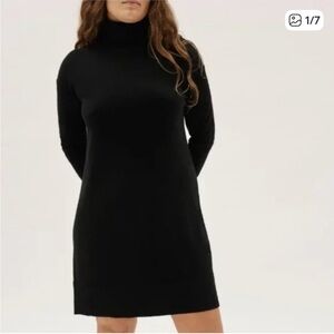 Everlane Turtleneck Cashmere Dress